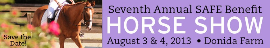 SAFE Benefit Horse Show
