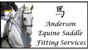 anderson-equine-logo